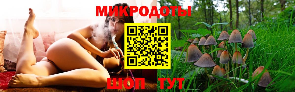 Галлюциногенные грибы Psilocybine cubensis Железноводск